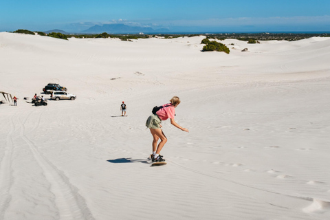 CIDADE DO CABO: AVENTURA DE SANDBOARD NAS DUNAS DE AREIA BRANCA DO ATLANTISCidade do Cabo: Aventura de sandboard nas dunas de areia branca do Atlantis