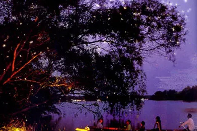 Bangkok: Private Firefly Night Cruise & Floating Market Tour