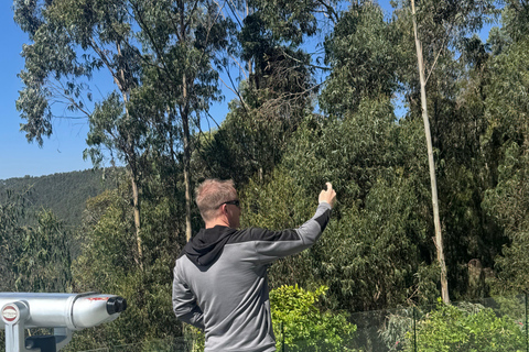 Addis Abeba: 3-tägige Tour zu den Seen des Rift Valley mit Guide