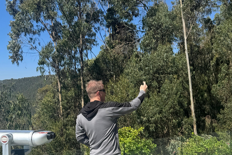 Addis Abeba: 3-tägige Tour zu den Seen des Rift Valley mit Guide