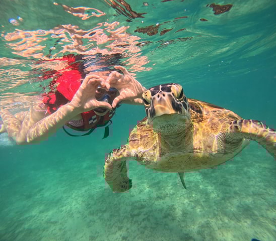 Mirissa: een onvergetelijke snorkelervaring met schildpadden