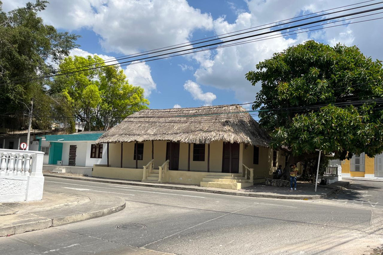 Cartagena: Adventure in Turbaco and botanical garden Cartagena: Turbaco Adventure and Botanical Garden