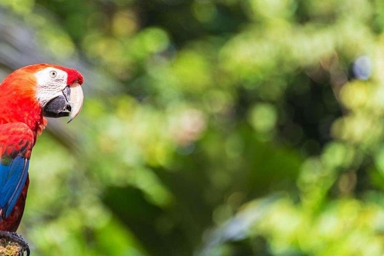 From Iquitos Amazonas 3 Days 2 Nights