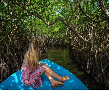 Vanuit Negombo: Exclusieve Madu-riviersafari & schildpaddenkwekerij