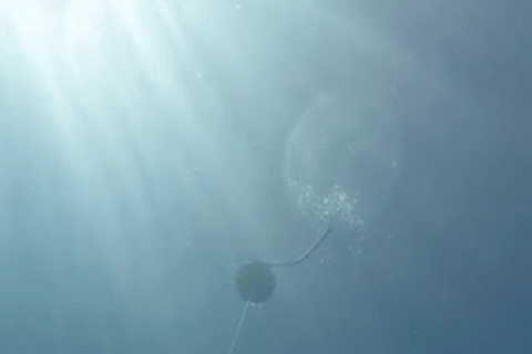 من مدينة أواكساكا: تجربة الغوص الحر في بويرتو إسكونديدو