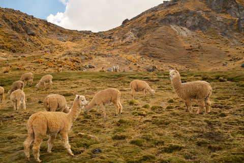 From Cusco: Ausangate 7 Lakes & Hot Springs - Full-Day Hike