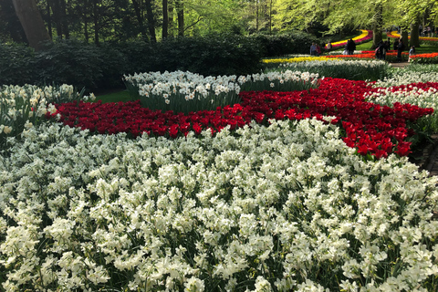 Keukenhof, fazenda de tulipas, campos de flores e Delft Blue