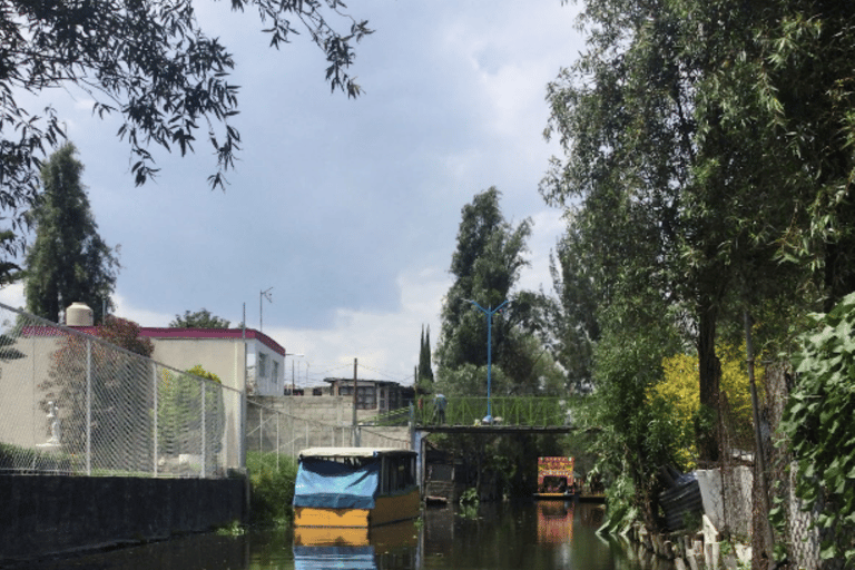 Mexiko-Stadt: Frida Kahlo, Coyoacán, und Xochimilco Tagestour