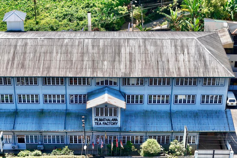 皮利马塔拉瓦茶园品茶之旅（含接送）Kandy Tea Tasting at Pilimathalawa with Pickup &amp; Drop