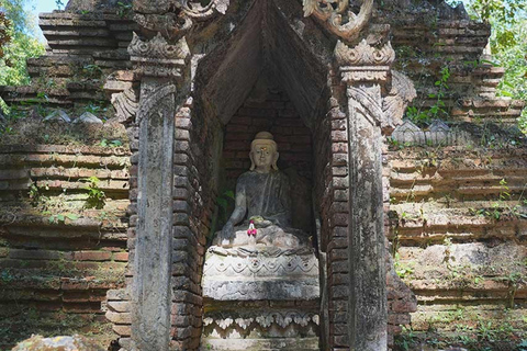 Temple de Doi Suthep, ferme d&#039;orchidées et cascade de Sticky avec déjeuner