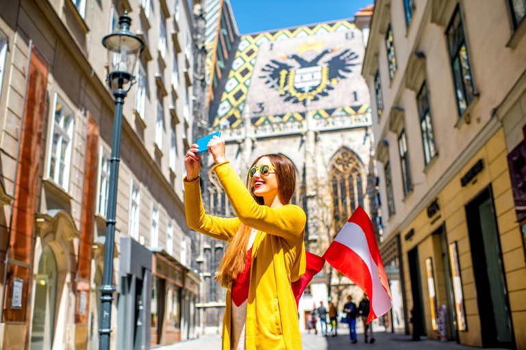 Cruzeiro pelo rio Viena, passeio a pé com a Catedral de St. Stephan3 horas e 15 minutos: passeio básico pela cidade velha e passeio de barco