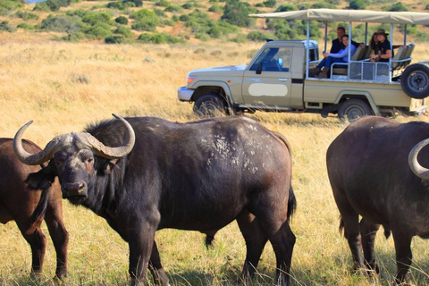 Safári de 3 dias em Maasai Mara no Sopa Luxury Lodge