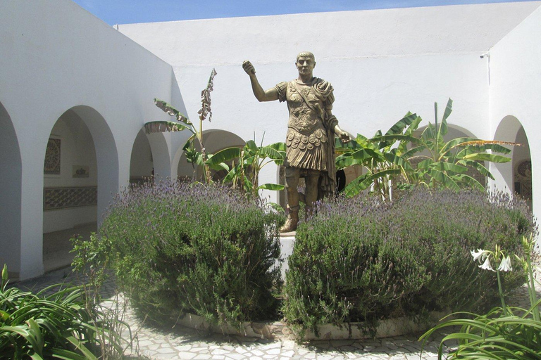 From Hammamet/Sousse: Amphitheatre Visit (All inclusive) From Sousse/Monastir: Amphitheatre Visit (All inclusive)