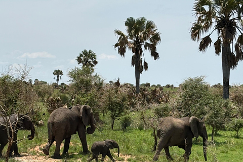 Queen Elizabeth National Park 3-Day Safari with Boat Cruise