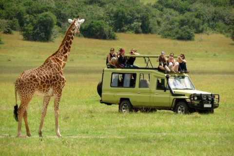 Dagtrip naar Arusha Nationaal ParkDagtrip naar Nationaal Park Arusha