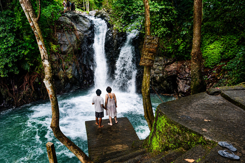 North Bali: Dolphin Swim, Snorkeling, & Waterfall Cliff Jump Small Group With Hotel Transfer Central Bali
