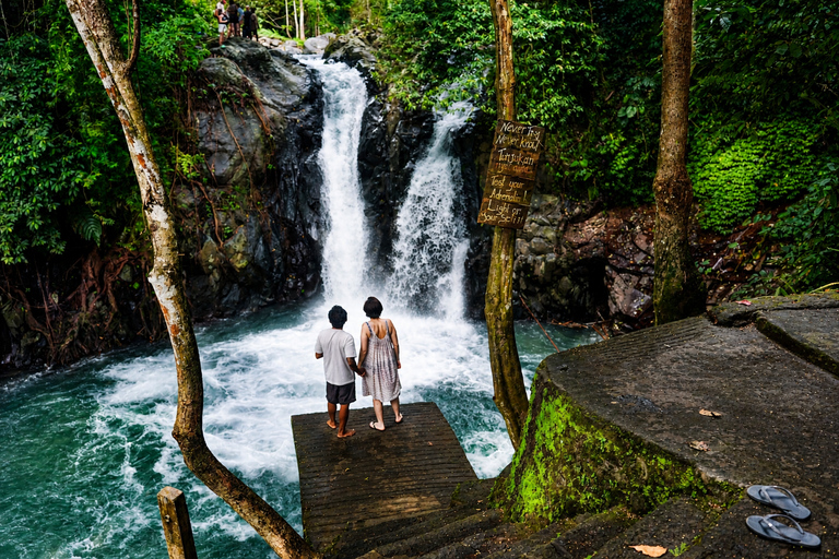 North Bali: Dolphin Swim, Snorkeling, & Waterfall Cliff Jump Small Group With Hotel Transfer Central Bali