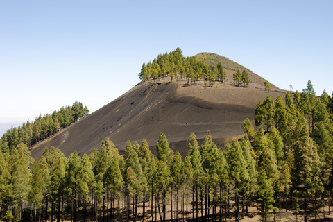 Maspalomas & Las Palmas: Artenara, Tamadaba & cider tasting From Las Palmas - English tour