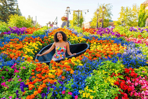 Sapporo: Otaru, Cape Kamui, and Blue Cave Summer Special 8;00 am meet at Odori Park subway station exit 31