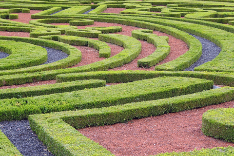 Fontainebleau i Vaux-le-Vicomte w 1 dzień z Paryża