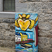 Walking Tour of Galway City: Division, Survival & Identity