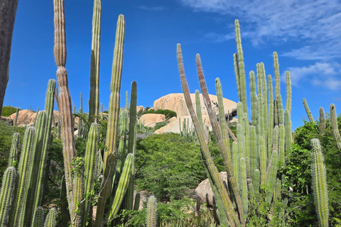 Aruba: Private Island Tour with Pickup and Custom Itinerary