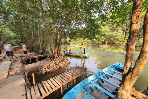 Ho Chi Minh Ville : Can Gio Monkey Island Excursion d&#039;une journée avec déjeuner