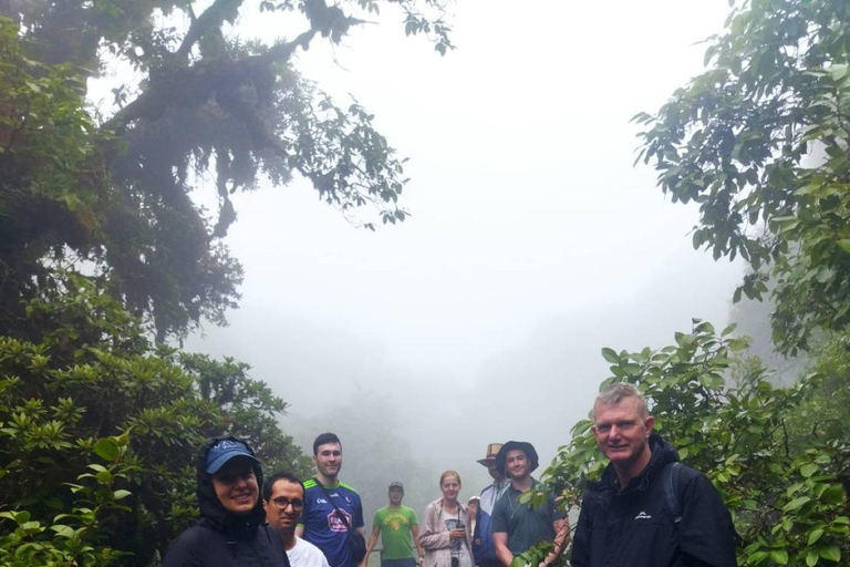 Chiang Mai: Parque Doi Inthanon, Cascadas y Excursión a las Colinas