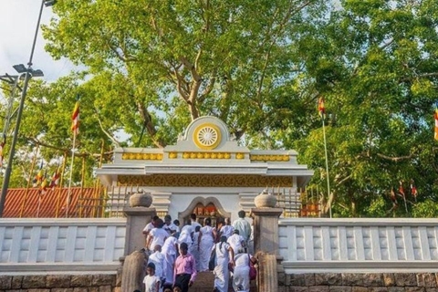 Anuradhapura : exploration du royaume sacré en tuk-tuk !
