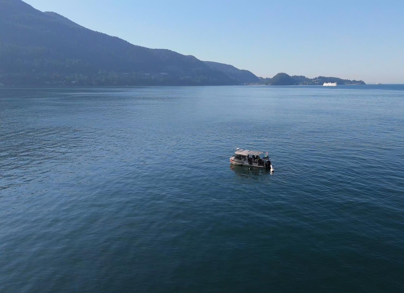 Vancouver: Snorkling, sæler, kajak, naturskøn bådtur