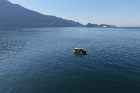 Snorkel Focas Remando Vida Salvaje Tour en barco en Vancouver