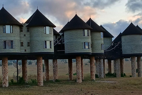 Mombasa: 2-Day Saltlick & Ngutuni Private Safari