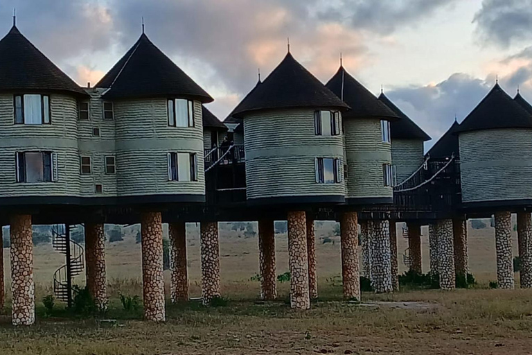 Mombasa: 2-Day Saltlick & Ngutuni Private Safari