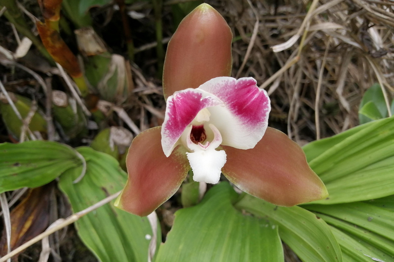 2 Days - Short Inca Trail to MachuPicchu