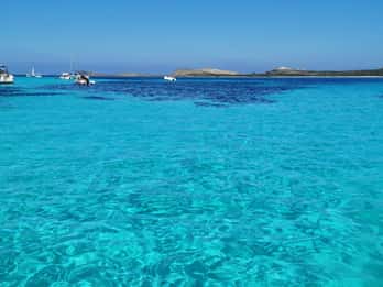 Porto Torres: Ausflug mit dem Schlauchboot zum Nationalpark Asinara mit Aperitif