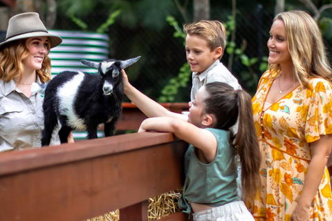 Experience Pass: Sky-High Thrills & Wildlife Wonders