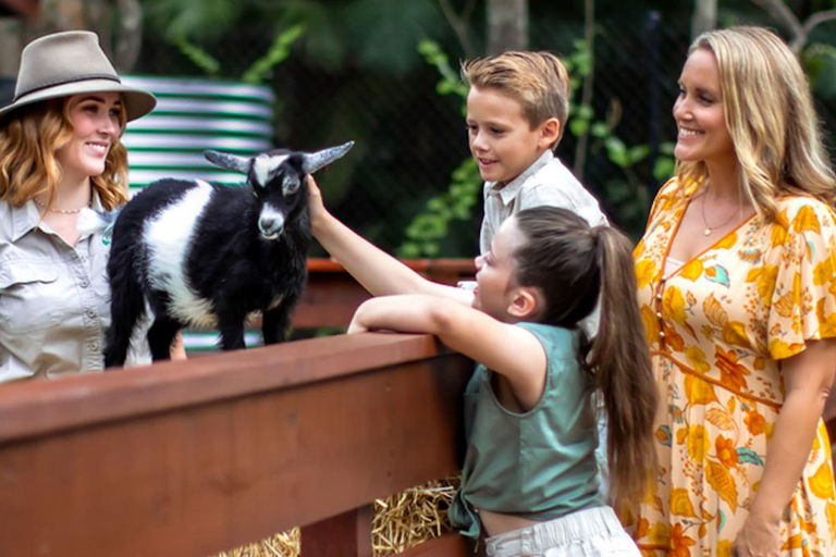 Experience Pass: Sky-High Thrills & Wildlife Wonders