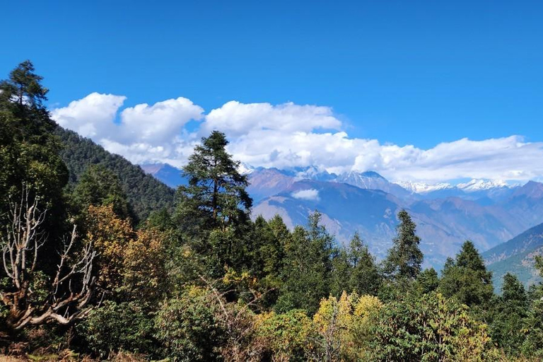 Journey Through Langtang: A 6-Day Trek with Meals