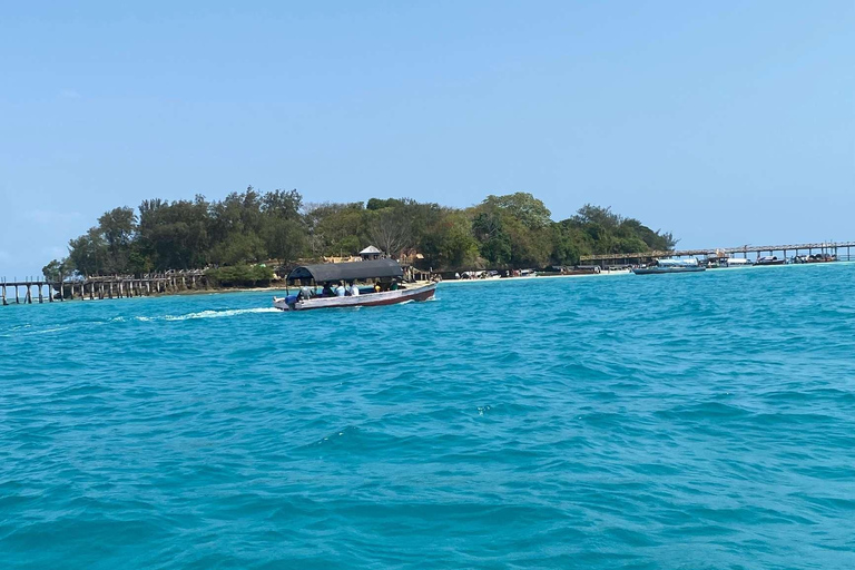 Zanzibar : excursion d'une journée à l'île-prison et au marché alimentaire nocturne (visite nocturne)Visite privée sans prise en charge à l'hôtel et retour à l'hôtel