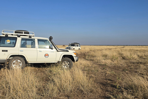 3-Day Awash National Park Safari with Lodge