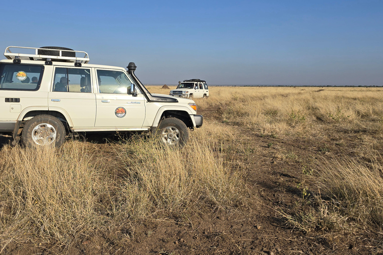 3-Day Awash National Park Safari with Lodge