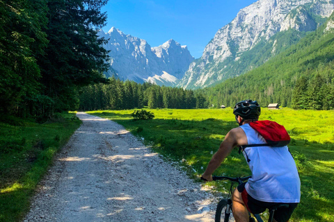 Bled: E-bike tocht langs het meer van Bled & Triglav Nationaal Park Picknick