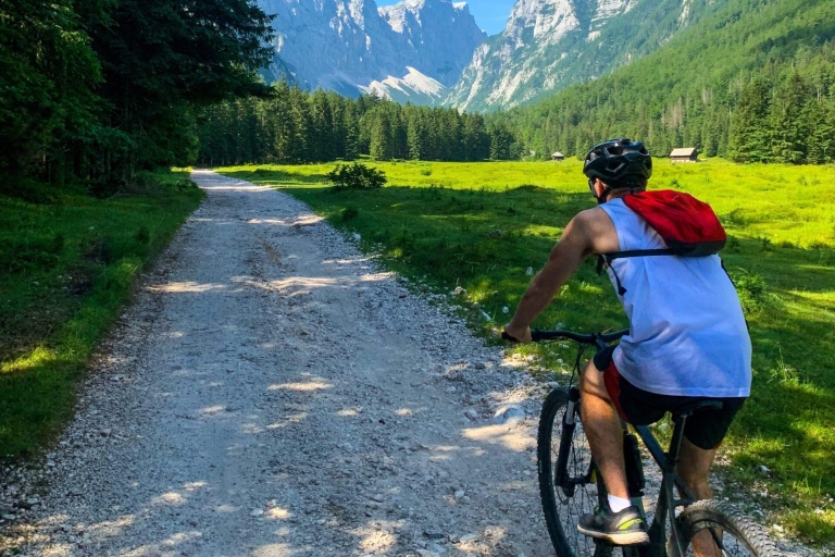 Bled: E-bike tocht langs het meer van Bled & Triglav Nationaal Park Picknick