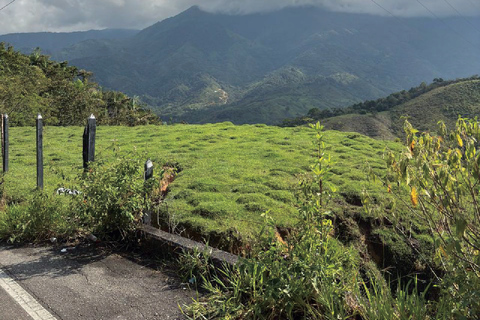 Medellín: Guatapé and Medellín City Door-to-Door Transfer Door-to-door transfer from Medellín to Guatapé.