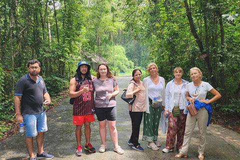 CuChi Tunnels 1/2day Daily Tour Small Group 10pax