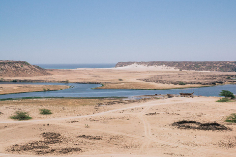 Salalah: Private East Salalah Tour — Half or Full Day Full day 4x4 (4)