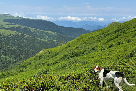 Kutaisi: From the Wild Caucasus Mountains to the Black Sea