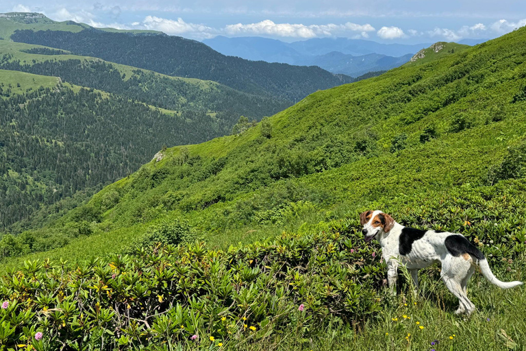 Kutaisi: From the Wild Caucasus Mountains to the Black Sea