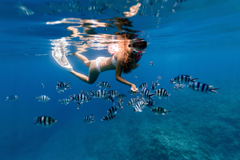 Från Stone Town: Snorkling och delfinupplevelse på Mnemba