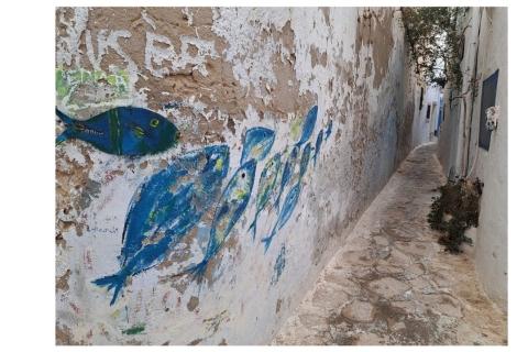 Cap Bon Unveiled: Geführte Erkundung in TunesienCap Bon Geführte Tour von Sousse aus
